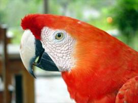 Brasilien Optionale Vorprogramme oder Nachprogramme