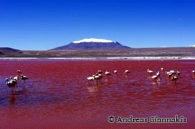 Südamerika-Rundreise Peru - Bolivien - Chile