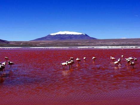 13 Tage Südamerika-Rundreise Peru - Bolivien - Chile ab € 4.363