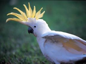 27 Tage Australien-Rundreise Ostküste und Outback ab € 8.853