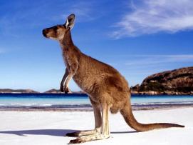 22 Tage Australien-Rundreise Rotes Zentrum und Perth ab € 5.998