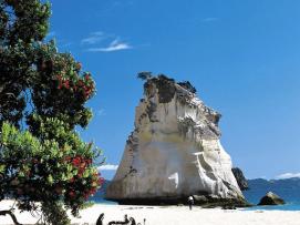 20 Tage Neuseeland-Rundreise Nationalparks und Maori-Kultur ab € 5.598