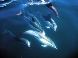 17 Tage Neuseeland-Rundreise Queenstown und Bay of Islands ab € 4.259