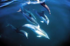 Neuseeland-Rundreise Queenstown und Bay of Islands