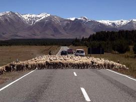 17 Tage Neuseeland-Autoreise für Selbstfahrer mit Queenstown ab € 5.958