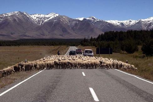 Neuseeland-Autoreise mit Queenstown für Selbstfahrer