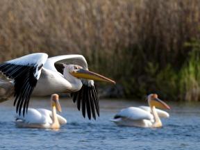 Donau-Schiffsreise zum Kilometer Null - 17 Tage 