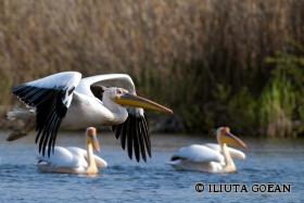 Donau-Schiffsreise zum Kilometer Null