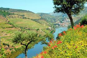 Douro-Schiffsreise Porto - Alto Douro - Porto