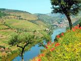 8 Tage Douro-Schiffsreise Porto - Dourotal - Porto ab € 999