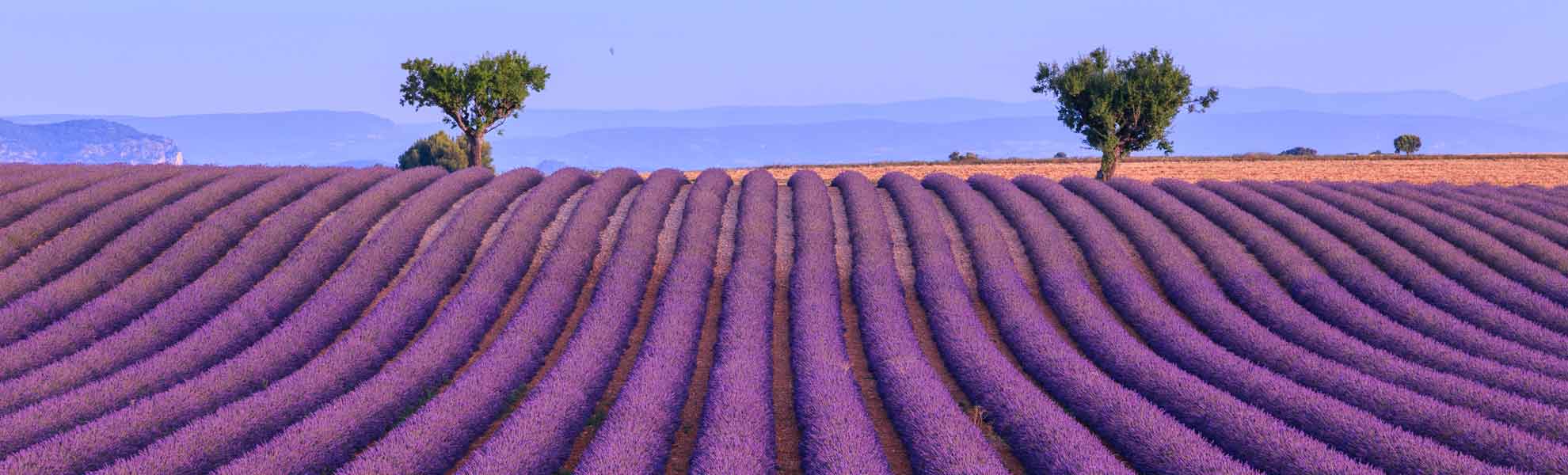 Flussreisen auf der Rhone