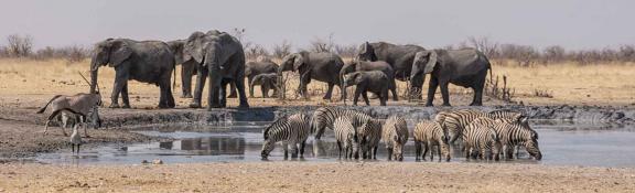 Rundreisen in Afrika