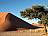 Namibia-Sossusvlei-Duenen-mit-Baum-Ute
