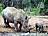 Suedafrika-Nationalpark-Rhinos-Foto-SATourism