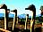 Suedafrika-Oudtshorn-Strausse