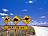 Australien-Outback-Stuart-Highway-Strassenschild