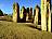 Australien-Westaustralien-Nambung-Nationalpark-Pinnacles