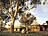 Australien-Alice-Springs-Alte-Telegrafenstation-Foto-TourismNT