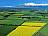 Neuseeland-Canterbury-Plains