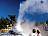 Neuseeland-Rotorua-Lady-Knox-Geysir